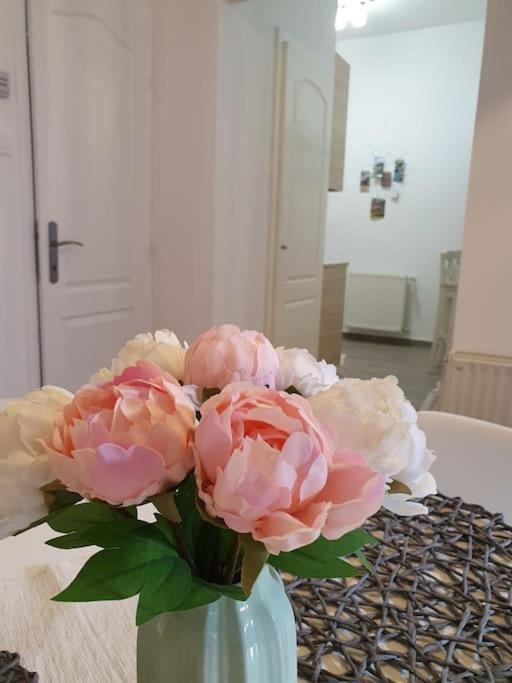Andrea Apartman Miskolc Belvarosaban エクステリア 写真