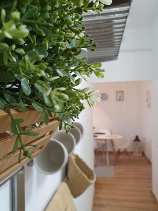 Andrea Apartman Miskolc Belvarosaban エクステリア 写真